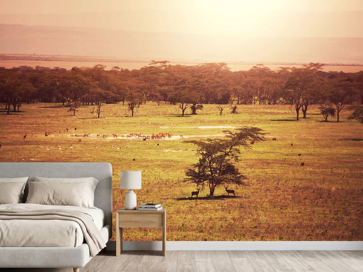 photo-wallpaper-picturesque-africa