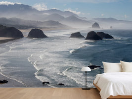 photo-wallpaper-morning-view-from-ecola-point-x