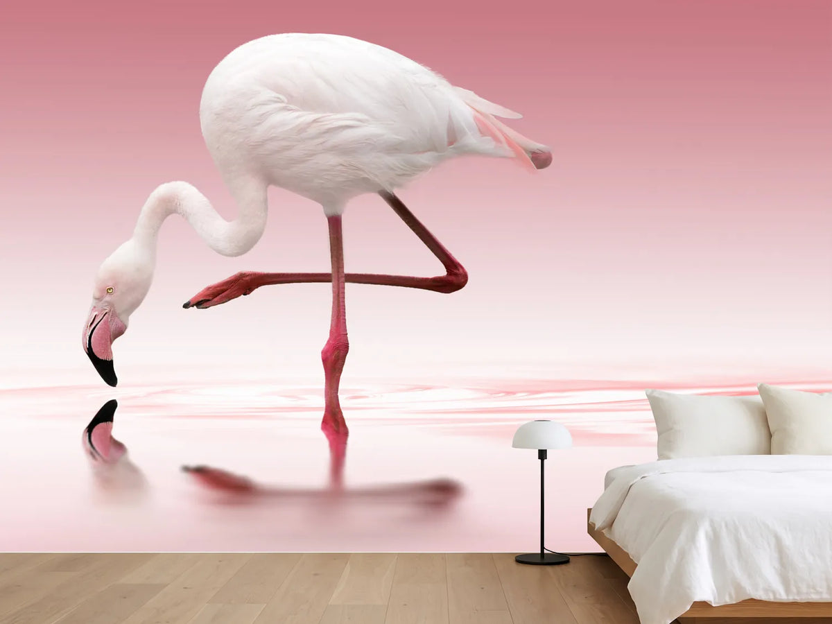 photo-wallpaper-flamingo