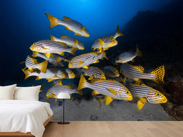 photo-wallpaper-fish-in-the-dance-of-the-waves