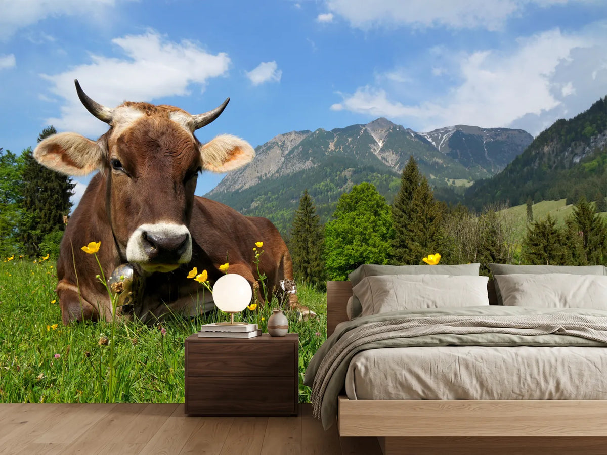 photo-wallpaper-cow-lying-in-grass-on-alpine-pasture-bavaria