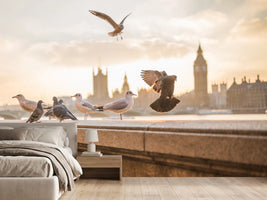 photo-wallpaper-the-pigeons-on-the-roof