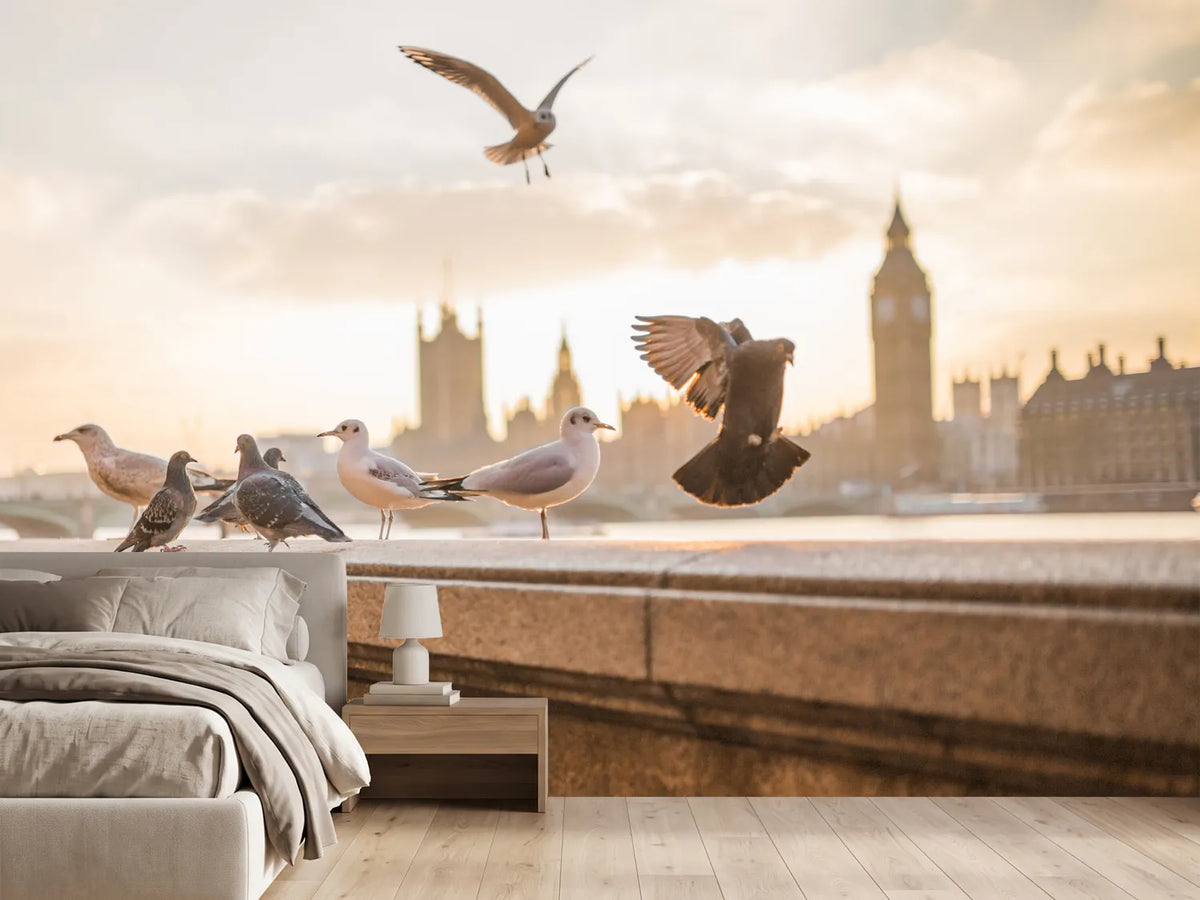 photo-wallpaper-the-pigeons-on-the-roof