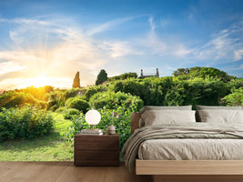 photo-wallpaper-sunrise-in-the-park