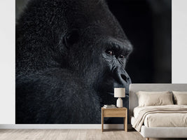 photo-wallpaper-pensive-gorilla-profile