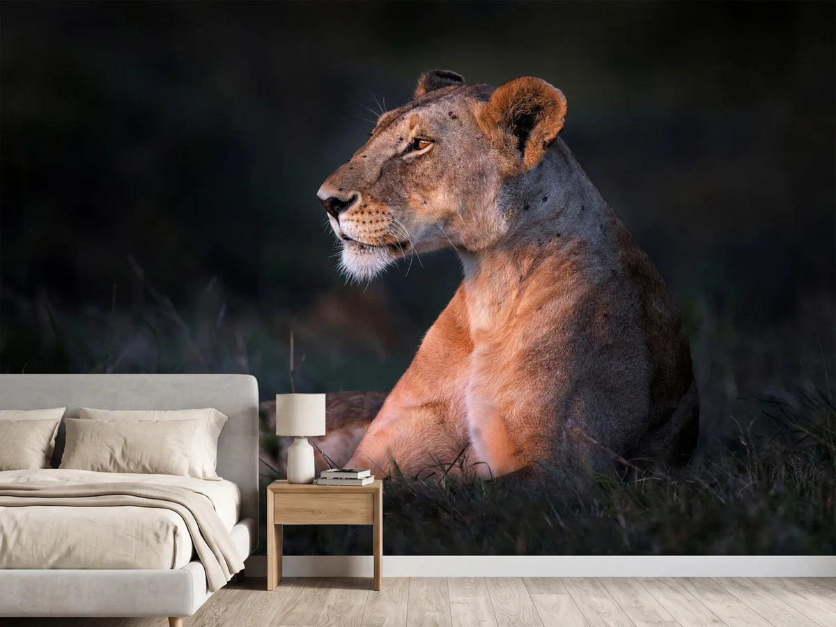 photo-wallpaper-lone-lioness-x