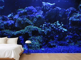 photo-wallpaper-coral-reef-in-blue