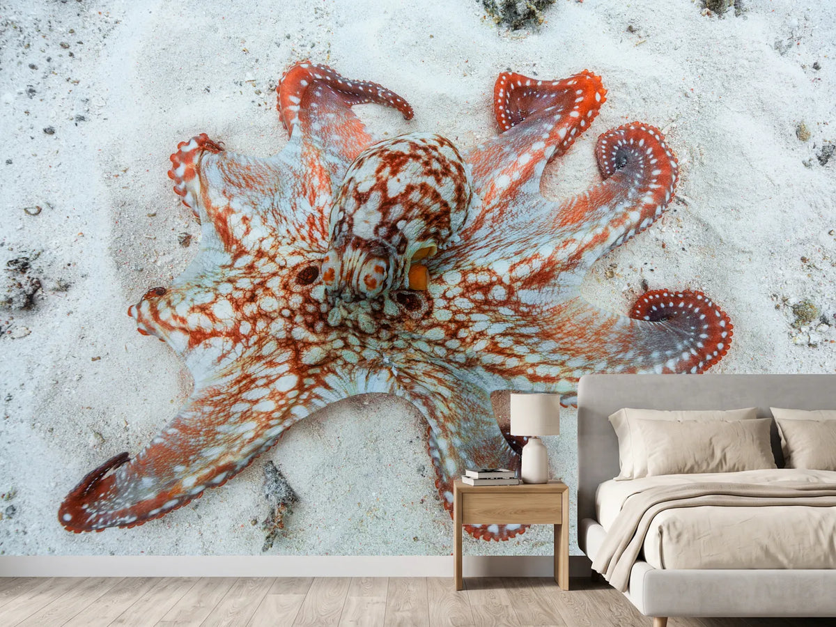 photo-wallpaper-octopus-a