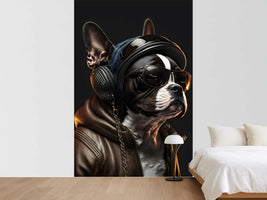photo-wallpaper-boston-terrier-in-a-leather-jacket-with-aviator-shades-and-headphones