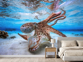 photo-wallpaper-dancing-octopus