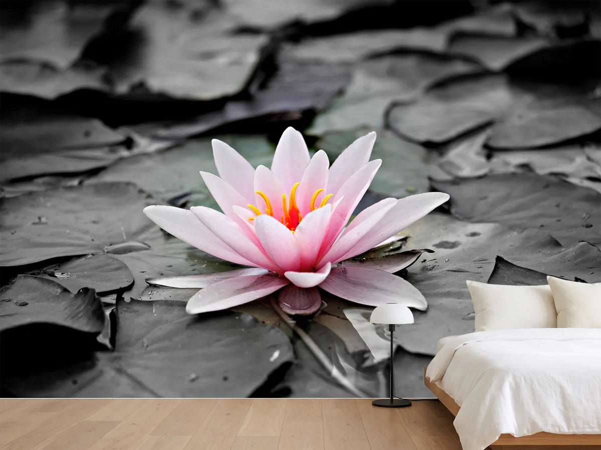 photo-wallpaper-the-art-of-water-lily