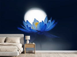 photo-wallpaper-fleeting-dream-x