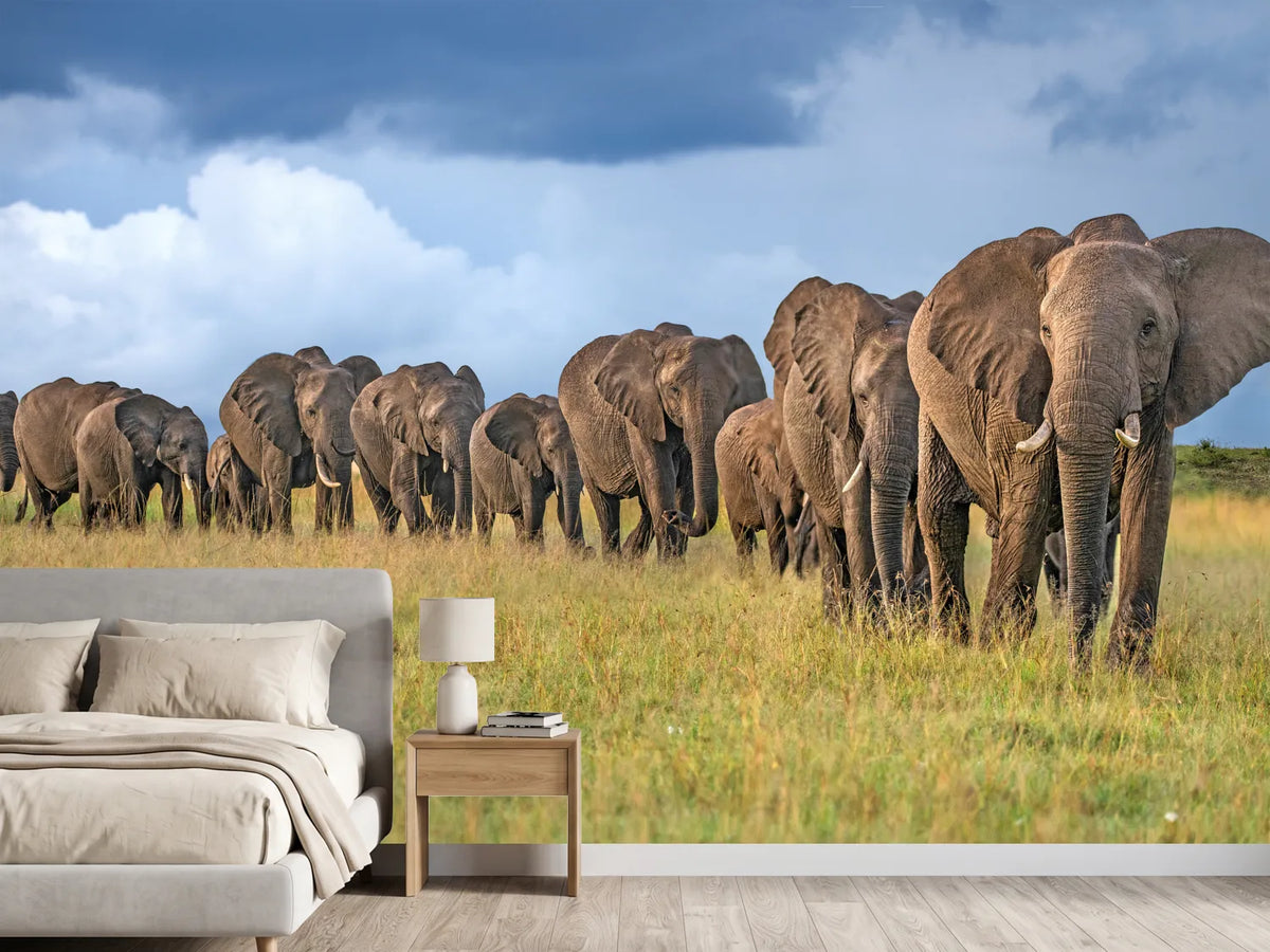 photo-wallpaper-the-land-of-the-giants-x