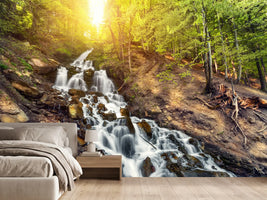 photo-wallpaper-natural-beauty