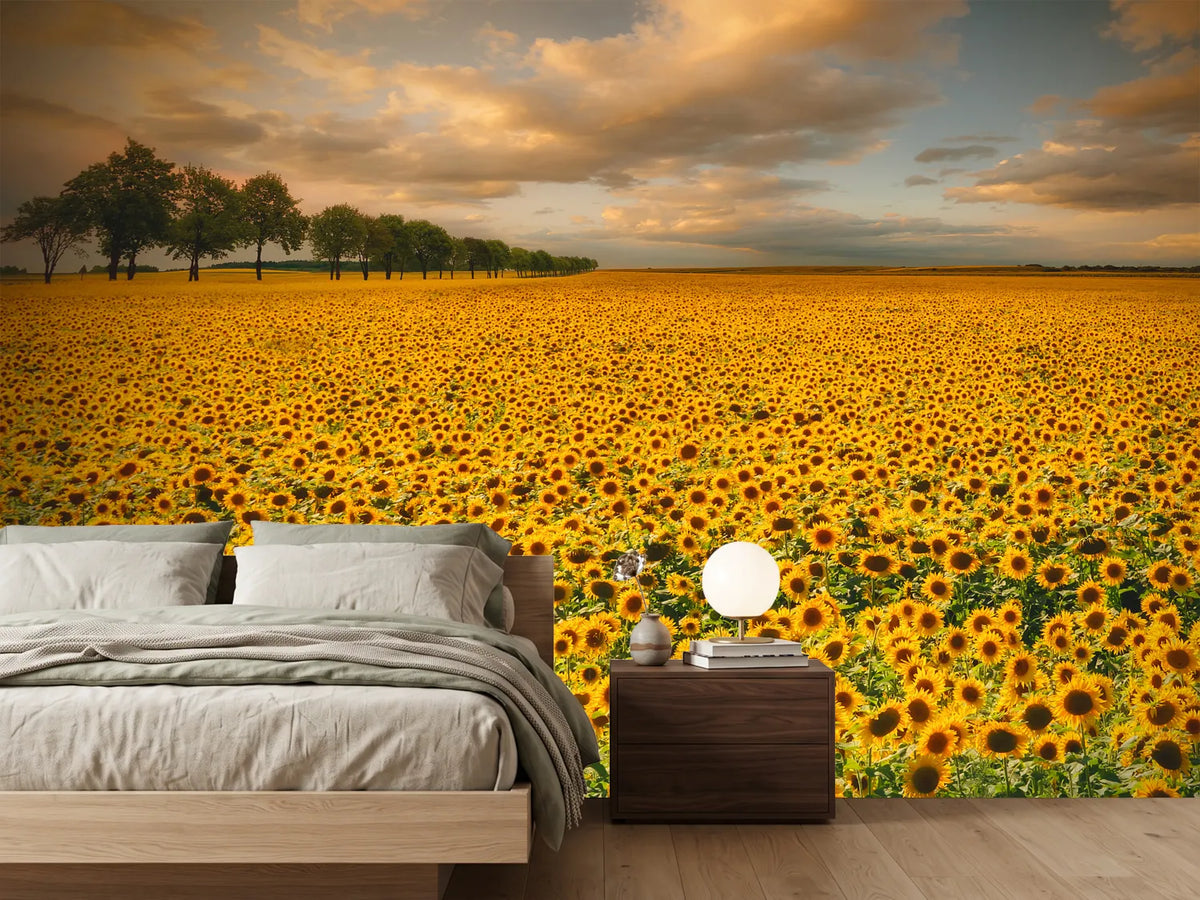 photo-wallpaper-sunflowers