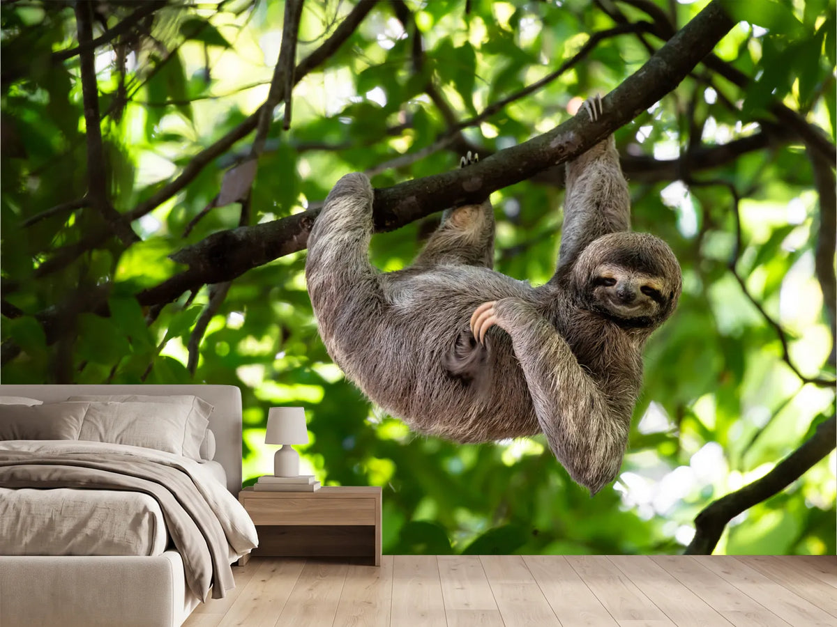 photo-wallpaper-relaxed-hanging-out