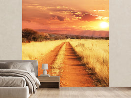photo-wallpaper-dusk-in-kenya
