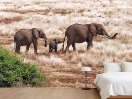 photo-wallpaper-elephant-family-tanzania-x