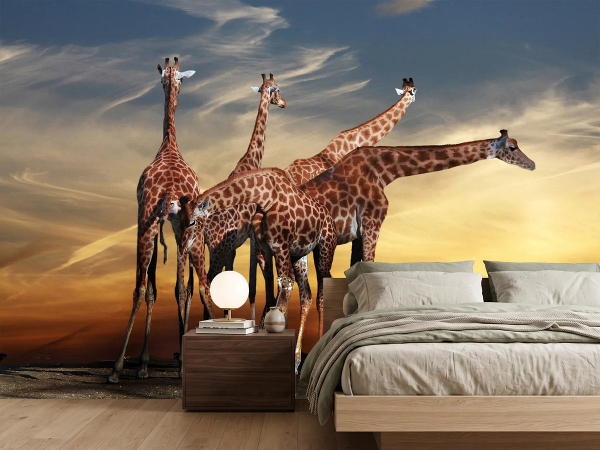 photo-wallpaper-girafe-at-sunset