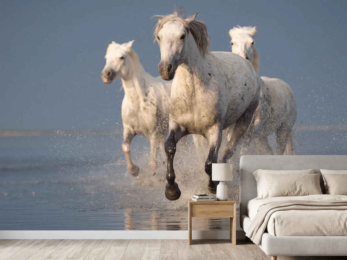 photo-wallpaper-camargue-horses-on-sunset-x