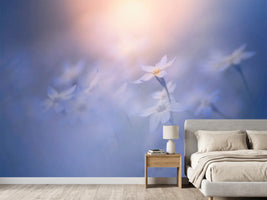 photo-wallpaper-in-the-pale-light-x