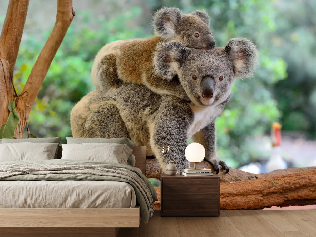 photo-wallpaper-mother-koala-with-baby-on-her-back