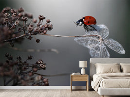 photo-wallpaper-ladybird-on-hydrangea
