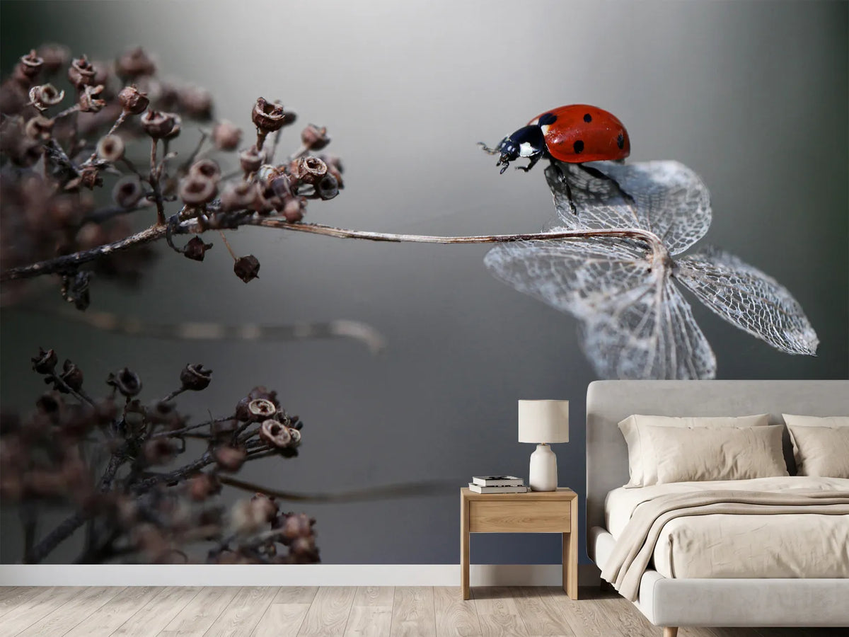 photo-wallpaper-ladybird-on-hydrangea