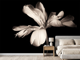 photo-wallpaper-simplicity