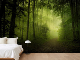 photo-wallpaper-spring-secret-x