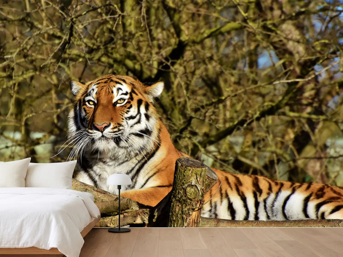 photo-wallpaper-proud-tiger