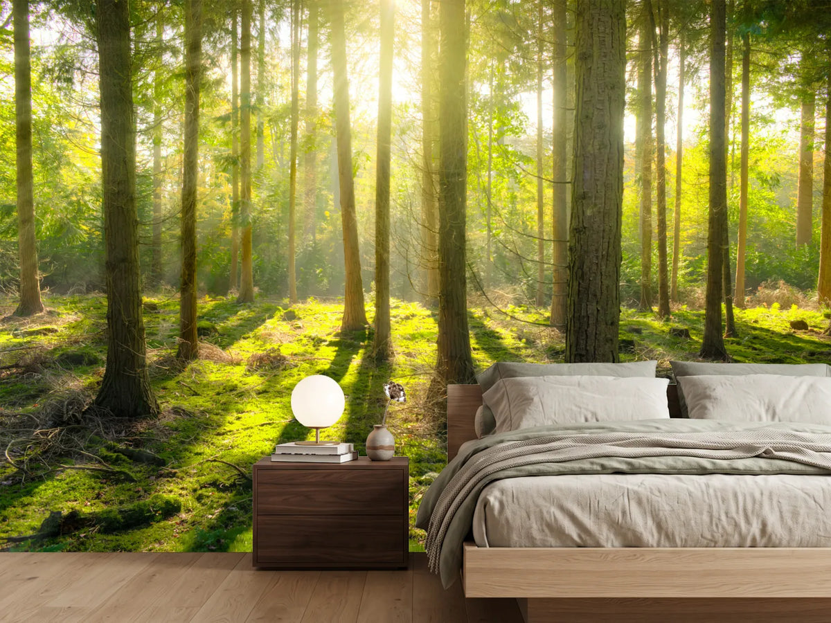 photo-wallpaper-in-the-middle-of-the-woods