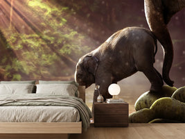 photo-wallpaper-the-elephant-baby