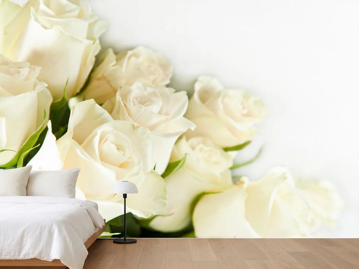 photo-wallpaper-white-roses