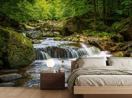 photo-wallpaper-relaxation-at-the-waterfall-ii