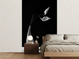 photo-wallpaper-passionately-x