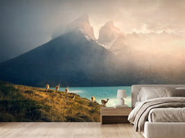 photo-wallpaper-guanacos-patagonia-peaks