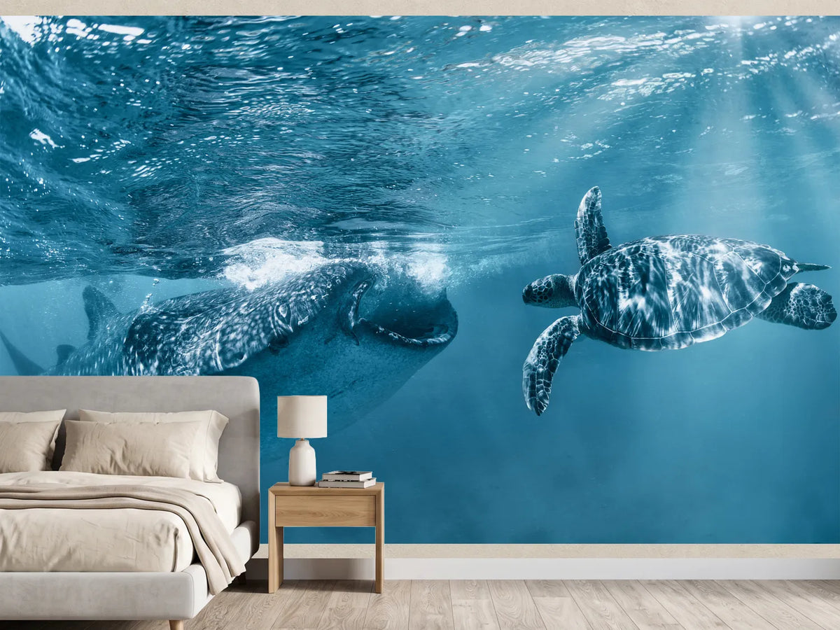 photo-wallpaper-whale-shark-turtle-swim