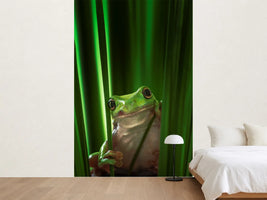 photo-wallpaper-green-frog