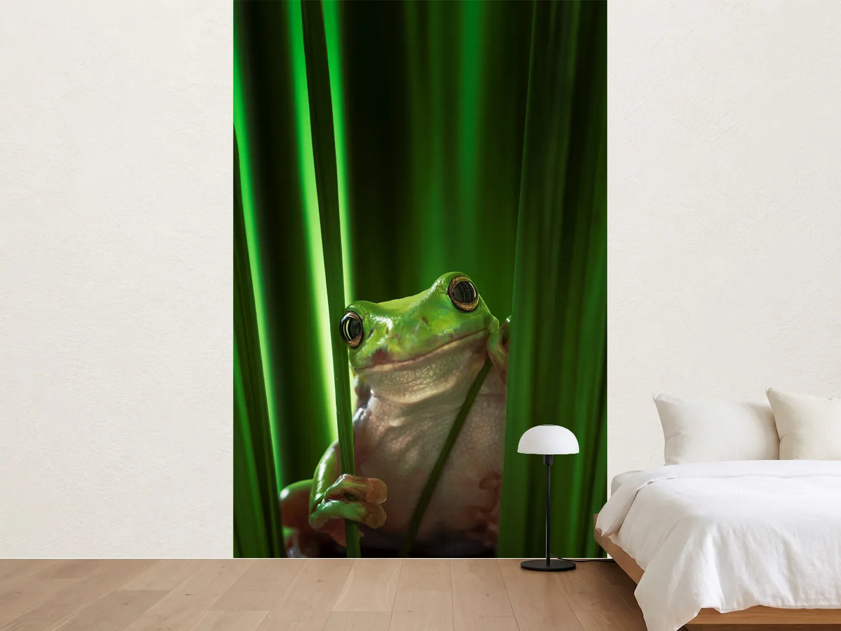 photo-wallpaper-green-frog