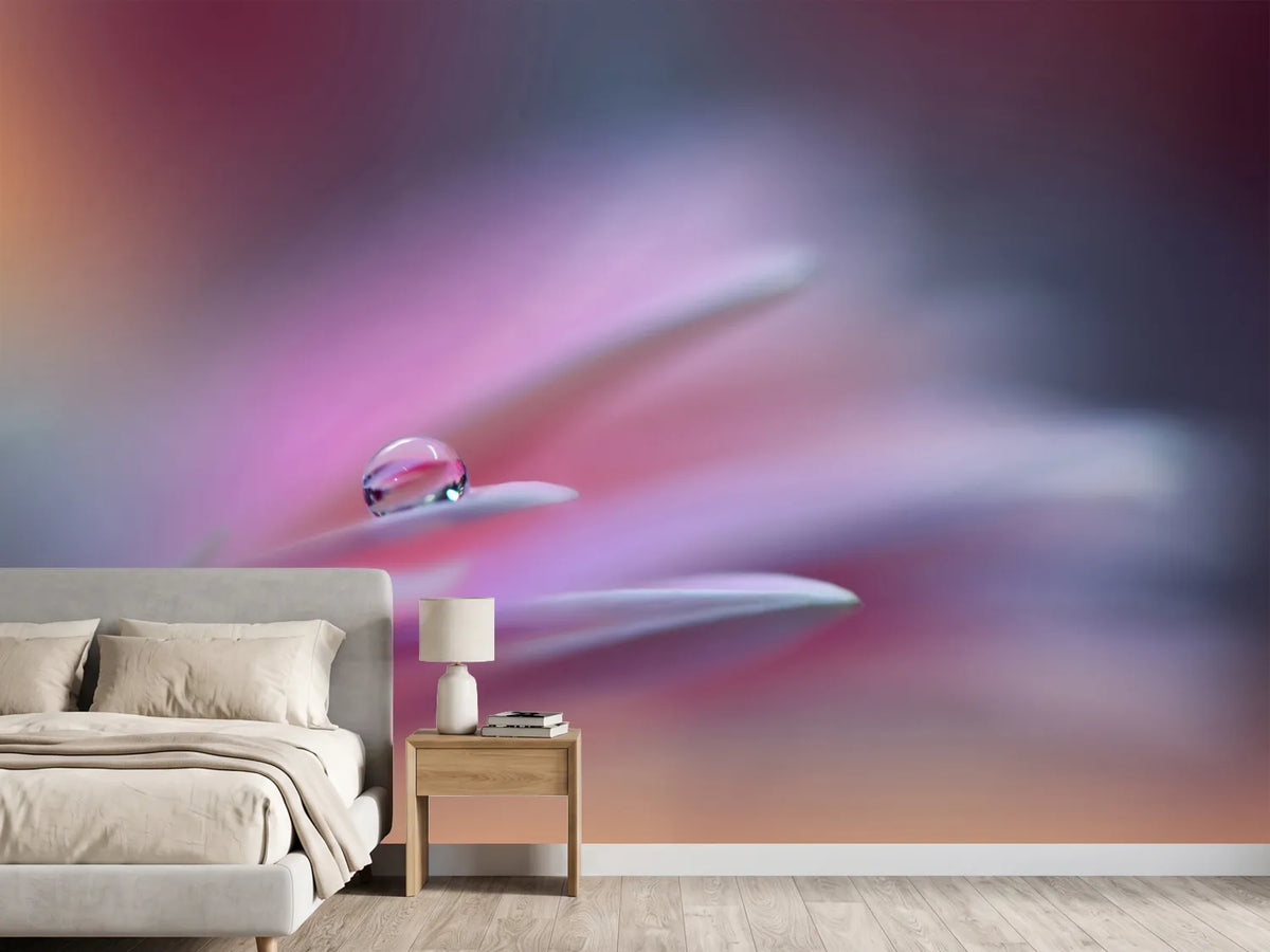 photo-wallpaper-sound-of-colors-xsr