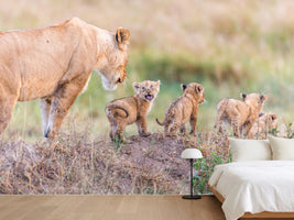photo-wallpaper-lets-go-mom