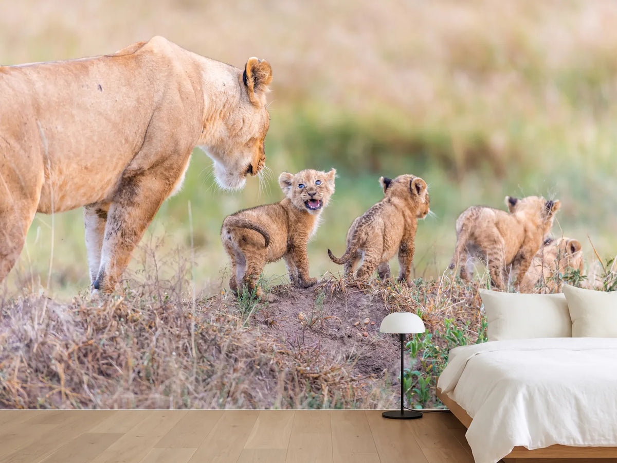 photo-wallpaper-lets-go-mom
