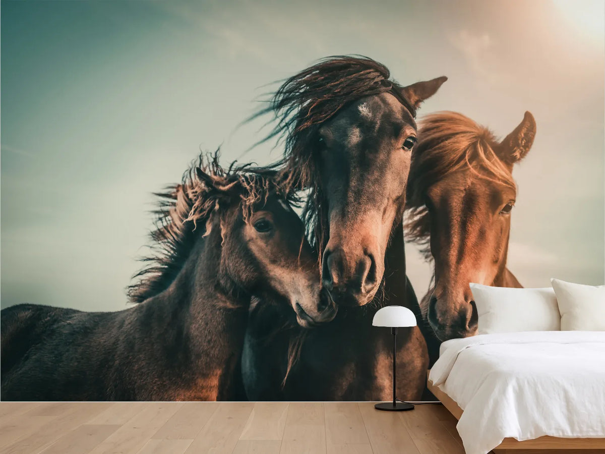 photo-wallpaper-wild-horse-family