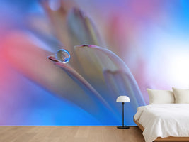 photo-wallpaper-touch-me-softly