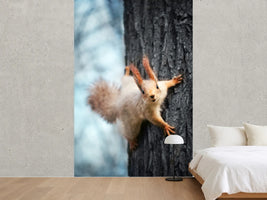 photo-wallpaper-the-squirrel