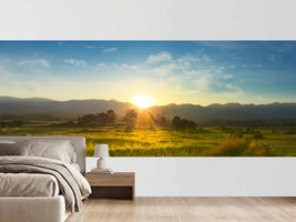 photo-wallpaper-sunset-over-vast-blossoming-meadow-landscape