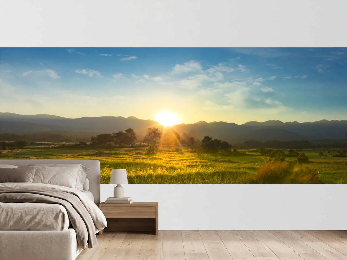 photo-wallpaper-sunset-over-vast-blossoming-meadow-landscape
