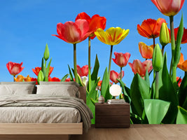 photo-wallpaper-wild-tulips