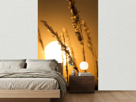 photo-wallpaper-romantic-sunset